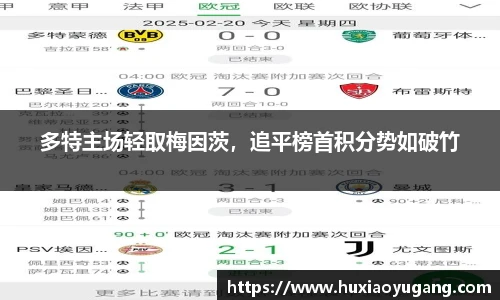 多特主场轻取梅因茨，追平榜首积分势如破竹